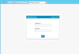 及时雨TRMSG通讯系统界面预览与信息系统集成服务